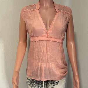 Pink Sheer Body Central Blouse